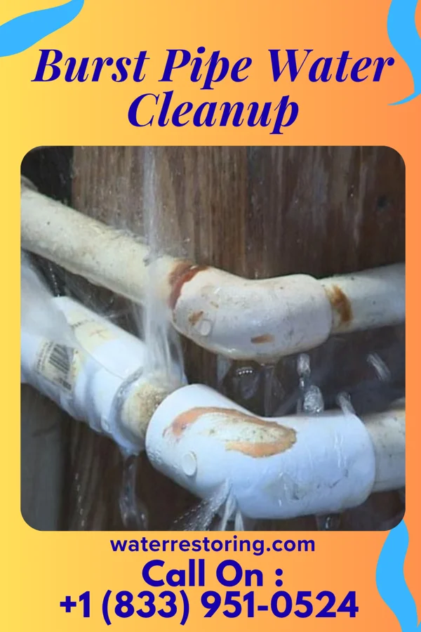 Burst Pipe Water Cleanup in Kirkersville, OH