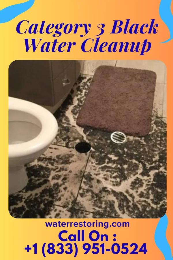 Category 3 Black Water Cleanup in Kirkersville, OH