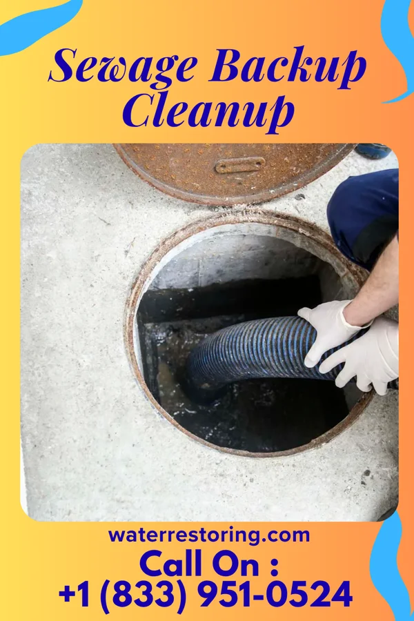 Sewage Backup Cleanup in Kirkersville, OH